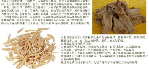 巨豐一號天麻加盟