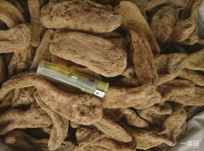 天麻安徽亳州譙城區(qū)_批發(fā)_供應-一畝田農(nóng)業(yè)網(wǎng)_專業(yè)的農(nóng)產(chǎn)品信息商務平臺