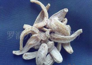 云南麗江天麻(目前接受預(yù)定,產(chǎn)期到可發(fā)貨)_醫(yī)藥、保養(yǎng)_世界工廠網(wǎng)中國產(chǎn)品信息庫