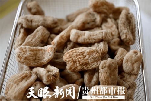 協(xié)與攜的變奏 黔貨出山進軍營 溢出輻射效應初顯