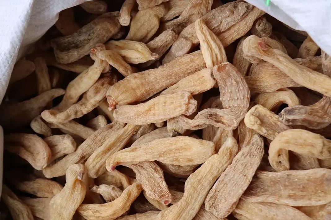 40頭云南麗江中號(hào)紅天麻,1斤93,5斤88,10斤83,3